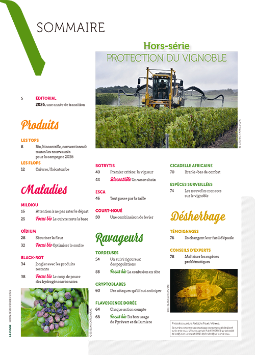 Hors-série Protection du vignoble