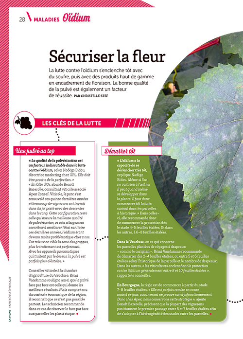 Hors-série Protection du vignoble
